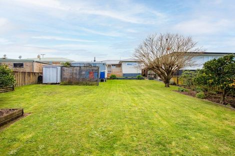 Photo of property in 163 Studholme Street, Morrinsville, 3300