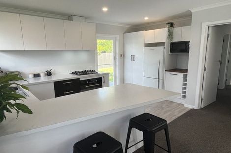 Photo of property in 27 Mokau Place, Terrace End, Palmerston North, 4410