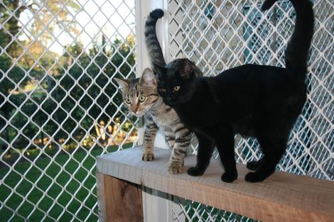 Photo of property in 50a Konini Street, Inglewood, 4330