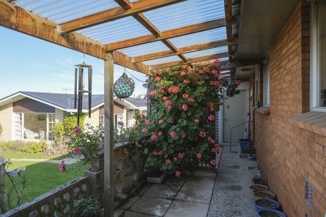 Photo of property in 91 Newington Avenue, Maori Hill, Dunedin, 9010