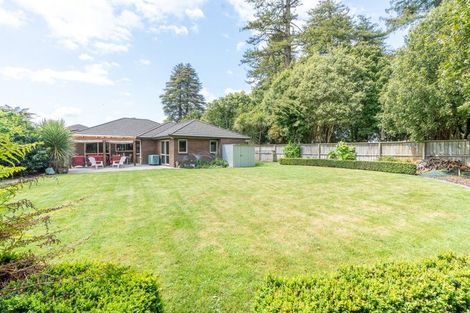 Photo of property in 3 Nottingham Drive, Hamilton East, Hamilton, 3216