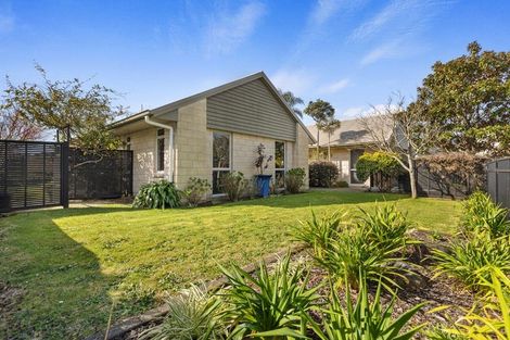 Photo of property in 60 Chater Avenue, Bethlehem, Tauranga, 3110