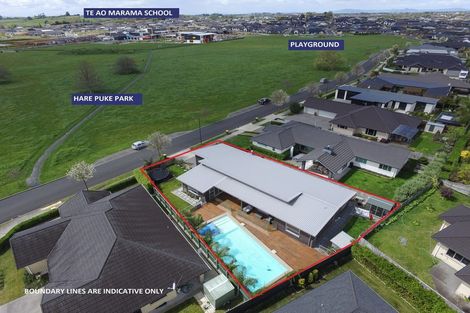 Photo of property in 39 Meadowfield Street, Flagstaff, Hamilton, 3210