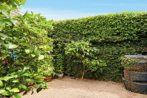 Photo of property in 38 Stephens Place, Hairini, Tauranga, 3112