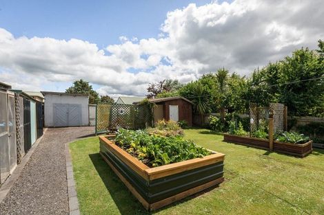 Photo of property in 20 Corbett Street, Paeroa, 3600