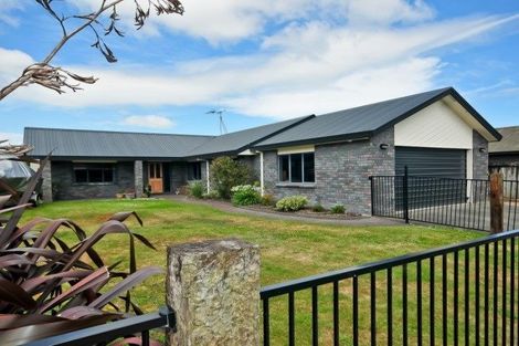 Photo of property in 12 Discovery Drive, Flagstaff, Hamilton, 3210