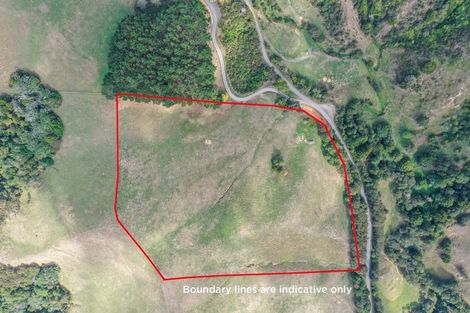 Photo of property in 169 Torehape Road, Kaihere, Ngatea, 3597