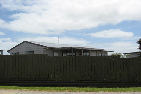 Photo of property in 209 Finlayson Avenue, Clendon Park, Auckland, 2103