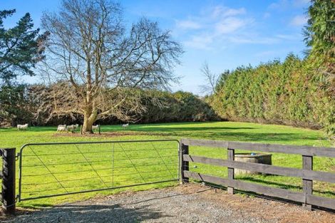 Photo of property in 955 Maungatautari Road, Maungatautari, Cambridge, 3494