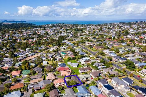 Photo of property in 17 Copplestone Place, New Lynn, Auckland, 0600