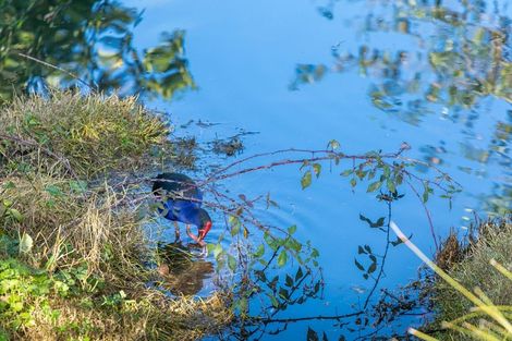 Photo of property in 6 Coleraine Drive, Rototuna, Hamilton, 3210