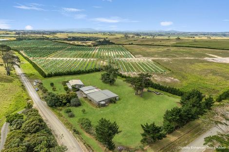 Photo of property in 259 Redhill Cemetery Road, Te Kopuru, Dargaville, 0371