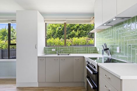 Photo of property in 16 Frank Hewitt Street, Pukekohe, 2120