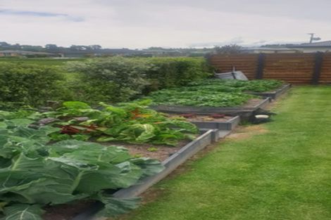 Photo of property in 62f Osborne Road, Amberley, 7410