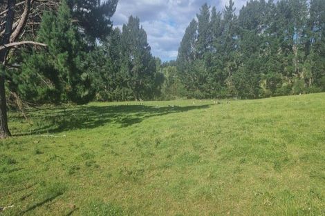Photo of property in 216 Potts Road, Koputaroa, Levin, 5571