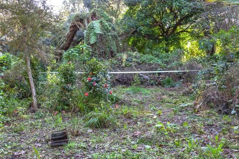 Photo of property in 113 Main Sh25 Road, Tairua, 3508