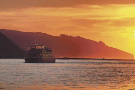 Photo of property in 579 Te Akau Wharf Road, Te Akau, Ngaruawahia, 3793