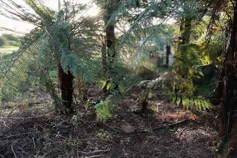 Photo of property in 87 Glasseye Drive, Little Wanganui, Karamea, 7893