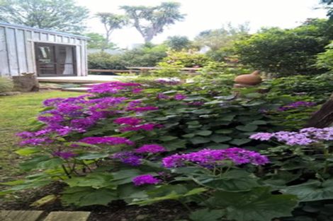 Photo of property in 6 Lincoln Street, Ashhurst, 4810