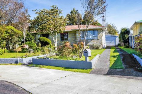 Photo of property in 31 Lysander Street, Stratford, 4332