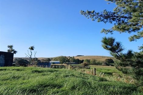 Photo of property in 88 Rapson Road, Kaukapakapa, 0871