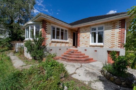 Photo of property in 22 Wood Street, Paeroa, 3600