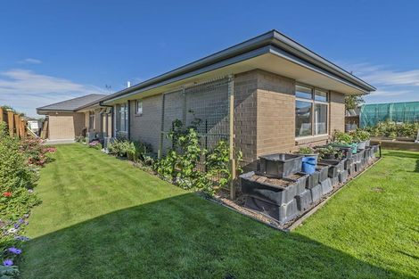 Photo of property in 47 Navy Loop, Rolleston, 7614