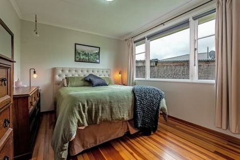Photo of property in 132 Limbrick Street, Terrace End, Palmerston North, 4410