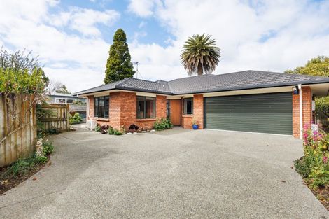Photo of property in 140a College Street, Awapuni, Palmerston North, 4412