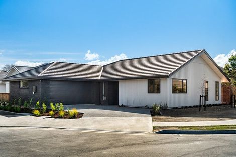 Photo of property in 11 Magnolia Drive, Springlands, Blenheim, 7201