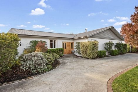 Photo of property in 29 Hospital Road, Witherlea, Blenheim, 7201
