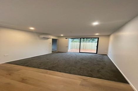 Photo of property in 45a Hillier Place, Spreydon, Christchurch, 8024