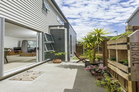 Photo of property in 41 Liquidambar Drive, Hobsonville, Auckland, 0616