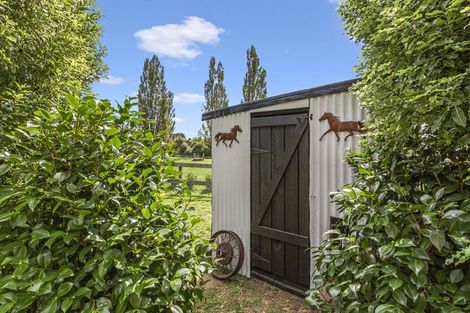 Photo of property in 85 Tarr Road, Ohaupo, 3881