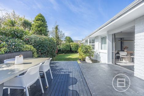 Photo of property in 149 Saint Albans Street, St Albans, Christchurch, 8014