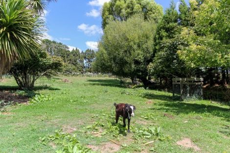 Photo of property in 33 Norfolk Road Lower, Norfolk, Inglewood, 4388