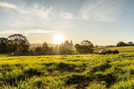 Photo of property in 21 Berkers Road, Ngahinapouri, Hamilton, 3290