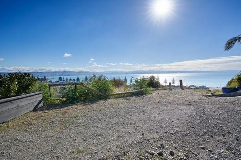 Photo of property in 40a Roslyn Road, Bluff Hill, Napier, 4110