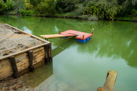 Photo of property in 53 Grant Road, Whataupoko, Gisborne, 4010