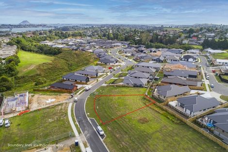 Photo of property in 53 Hass Drive, Ohauiti, Tauranga, 3112