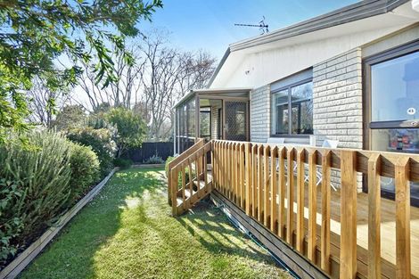 Photo of property in 5d Cameron Road, Te Puke, 3119