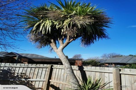 Photo of property in 300 Withells Road, Avonhead, Christchurch, 8042