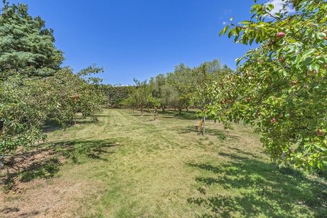 Photo of property in 725 Ridgens Road, Charing Cross, Christchurch, 7671