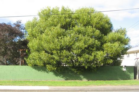 Photo of property in 64 Valentine Street, Papakura, 2110