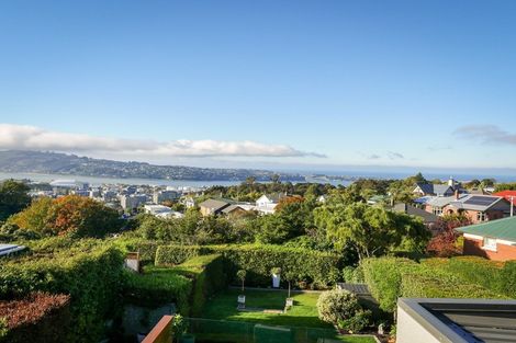 Photo of property in 710 Highgate, Maori Hill, Dunedin, 9010