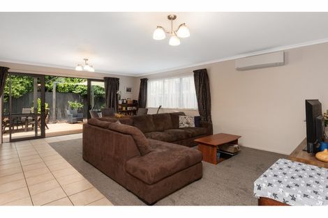 Photo of property in 20 Collingwood Street, Judea, Tauranga, 3110