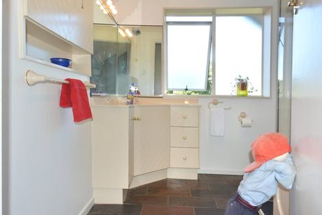 Photo of property in 17 Napier Street, Belleknowes, Dunedin, 9011