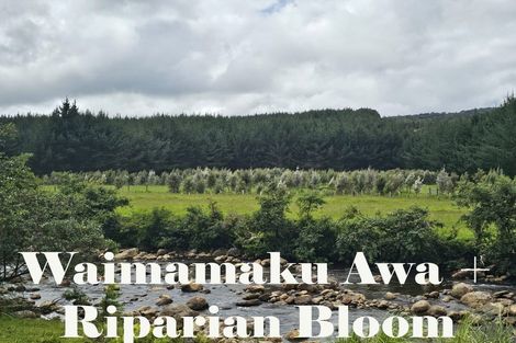 Photo of property in 1296 Wekaweka Road, Waimamaku, Kaikohe, 0473