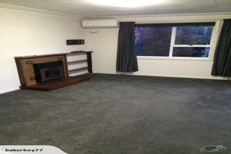 Photo of property in 11 Martin Road, Fairfield, Dunedin, 9018