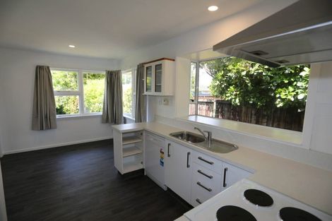 Photo of property in 55 Hounslow Street, Ilam, Christchurch, 8041